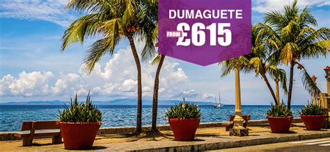 flights to dumaguete city|Cheap Flights to Dumaguete City from ₱994 .